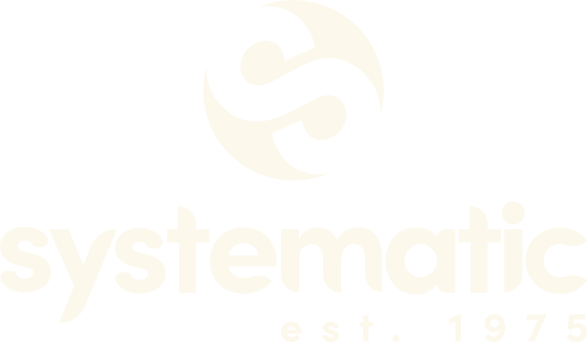 Systematic Logo